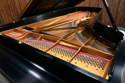 Steinway & Sons D Concert Grand Piano