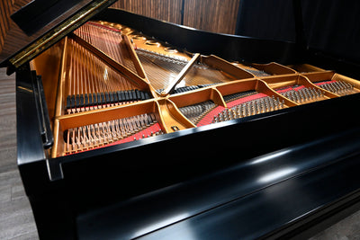 Steinway & Sons D Concert Grand Piano