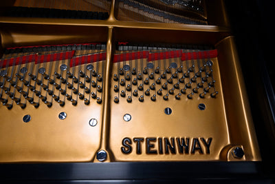 Steinway & Sons D Concert Grand Piano