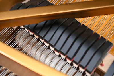 Steinway & Sons D Concert Grand Piano