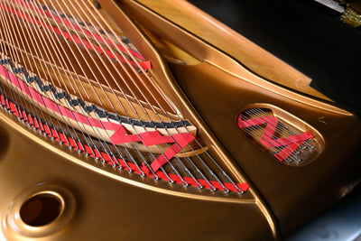 Steinway & Sons D Concert Grand Piano