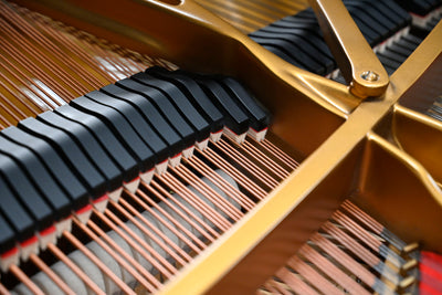Steinway & Sons D Concert Grand Piano