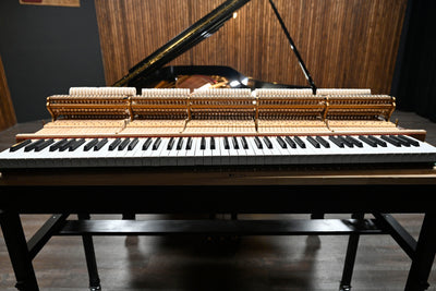 Steinway & Sons D Concert Grand Piano