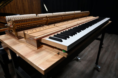 Steinway & Sons D Concert Grand Piano