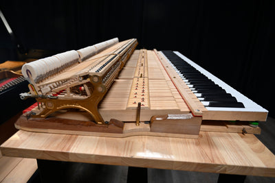 Steinway & Sons D Concert Grand Piano