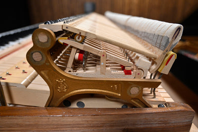 Steinway & Sons D Concert Grand Piano