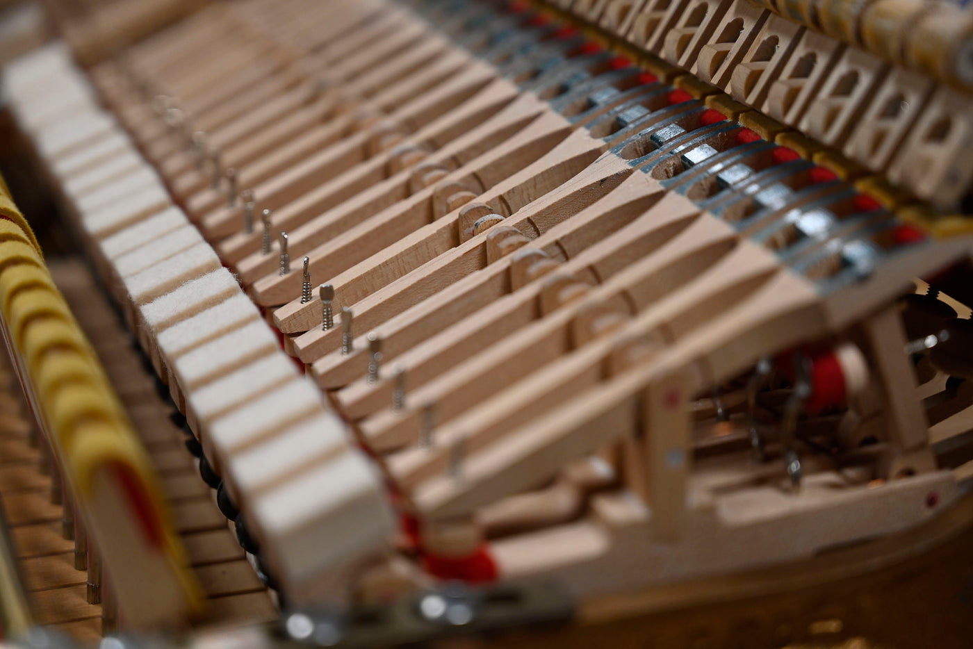 Steinway & Sons D Concert Grand Piano