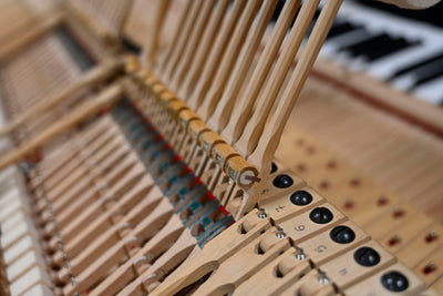 Steinway & Sons D Concert Grand Piano