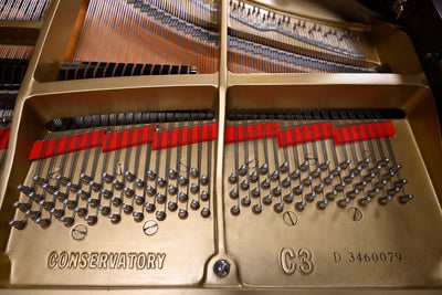 Yamaha C3 Grand Piano