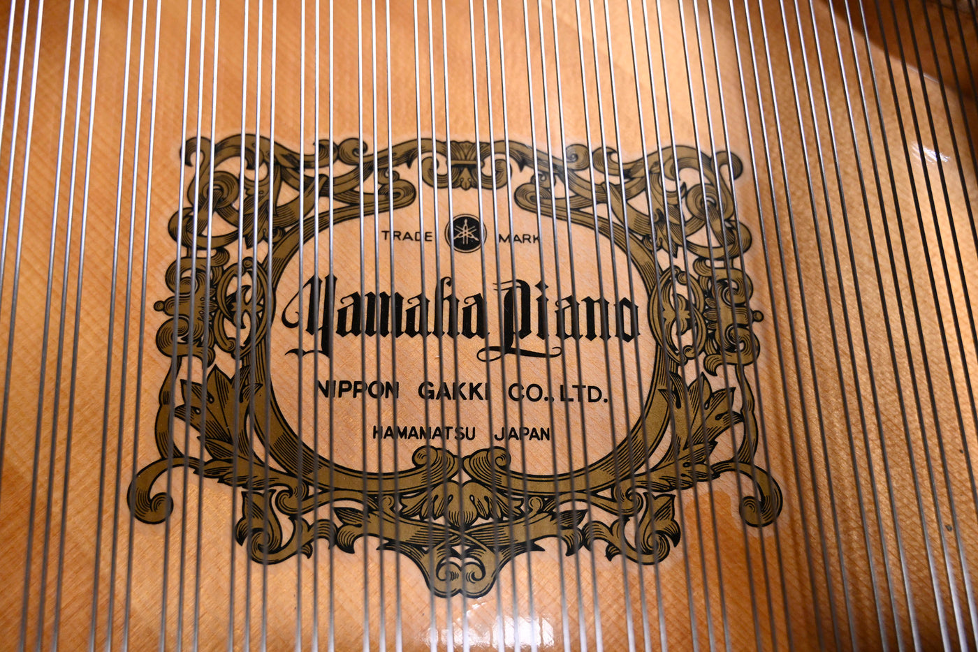 Yamaha C3 Grand Piano