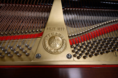 Yamaha C3 Grand Piano