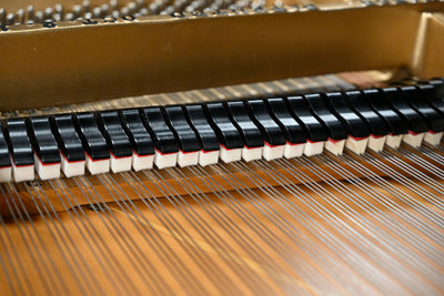 Mason & Hamlin A Parlor Grand Piano