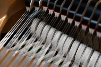Kingsburg KF-185 Grand Piano