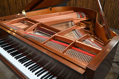Pramberger Young Chang PG-175 Parlor Grand Piano