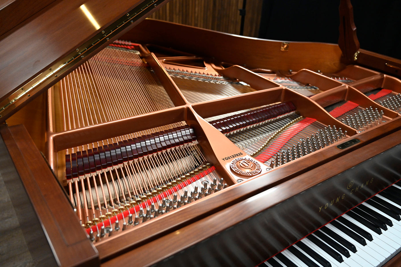 Pramberger Young Chang PG-175 Parlor Grand Piano