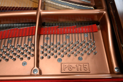 Pramberger Young Chang PG-175 Parlor Grand Piano
