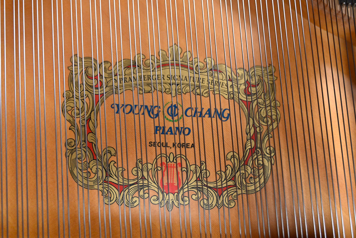 Pramberger Young Chang PG-175 Parlor Grand Piano