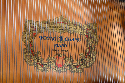 Pramberger Young Chang PG-175 Parlor Grand Piano
