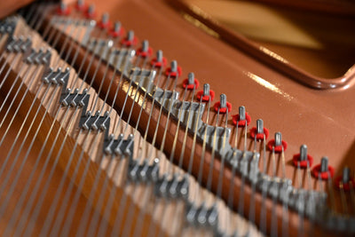 Pramberger Young Chang PG-175 Parlor Grand Piano