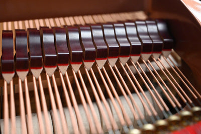 Pramberger Young Chang PG-175 Parlor Grand Piano