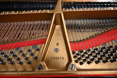 Steinway & Sons O Parlor Grand Piano