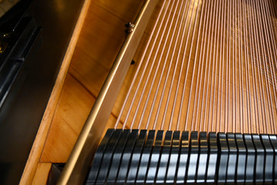 Steinway & Sons O Parlor Grand Piano