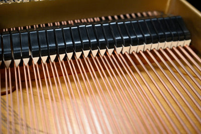 Steinway & Sons O Parlor Grand Piano