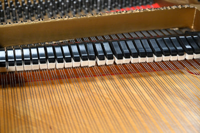 Steinway & Sons O Parlor Grand Piano