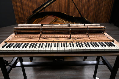 Steinway & Sons O Parlor Grand Piano