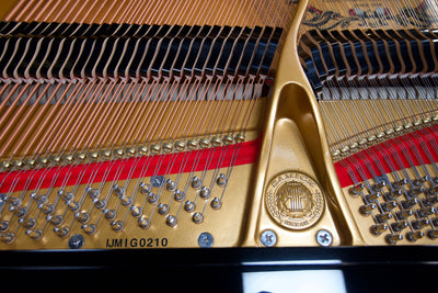 Samick SIG-50 Baby Grand Piano