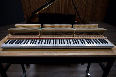 Petrof IV Parlor Grand Piano