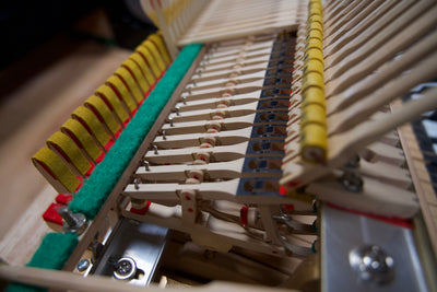 Petrof IV Parlor Grand Piano