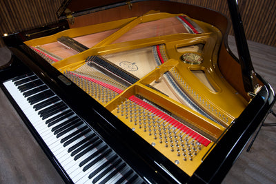 Petrof IV Parlor Grand Piano
