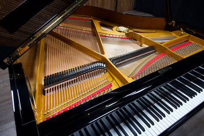 Petrof IV Parlor Grand Piano