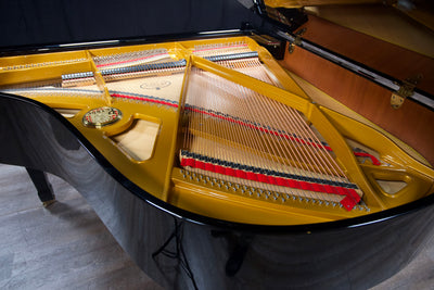 Petrof IV Parlor Grand Piano