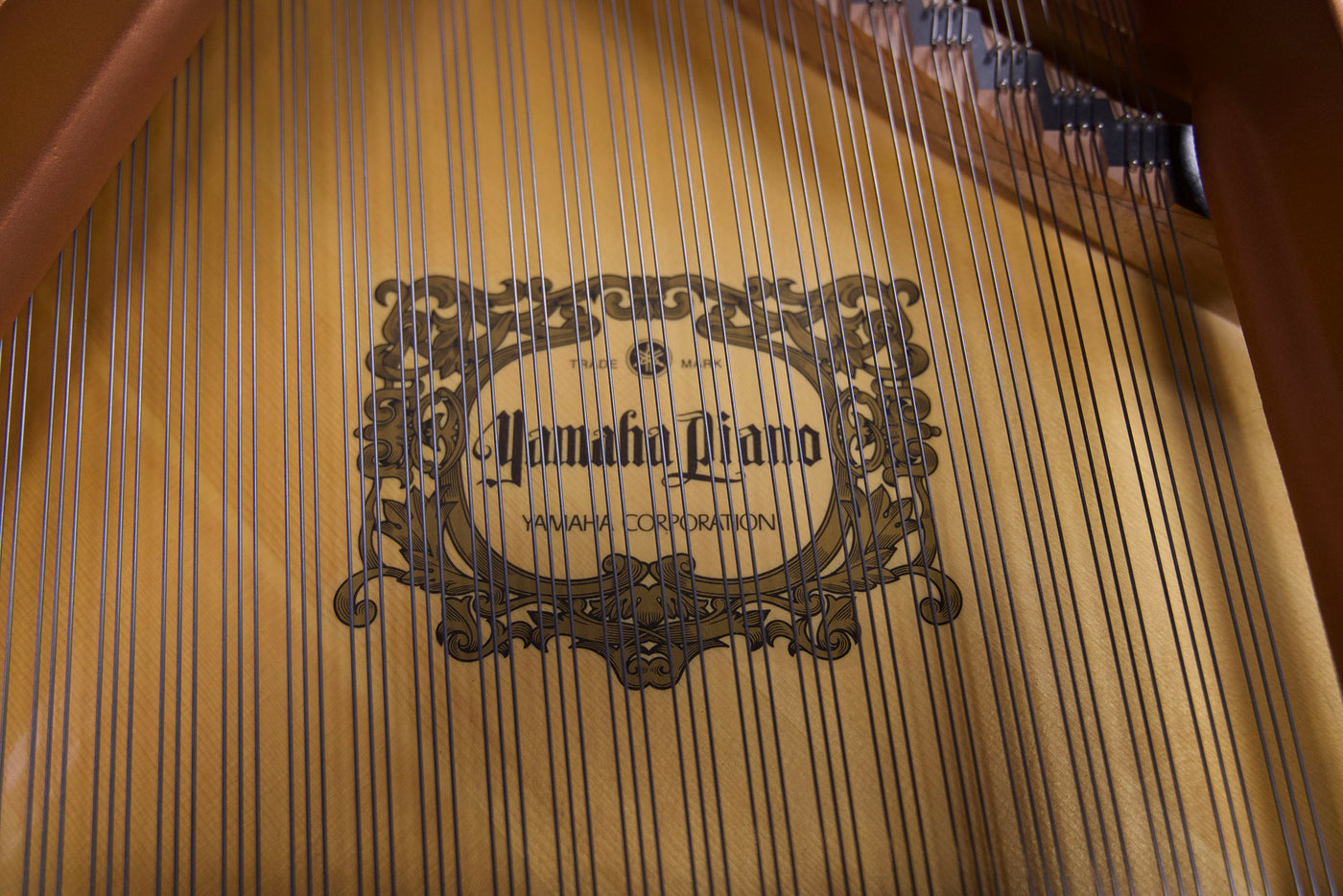 Yamaha C1 Enspire  Baby Grand Player Piano