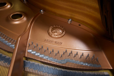 Yamaha C1 Enspire  Baby Grand Player Piano