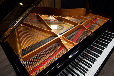 Yamaha C1 Enspire Player Parlor Grand Piano