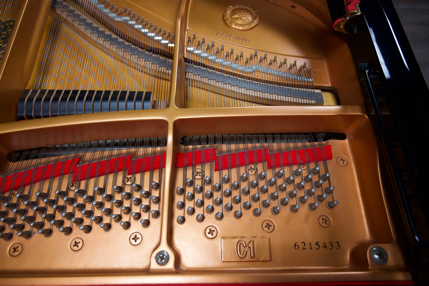 Yamaha C1 Enspire Player Parlor Grand Piano