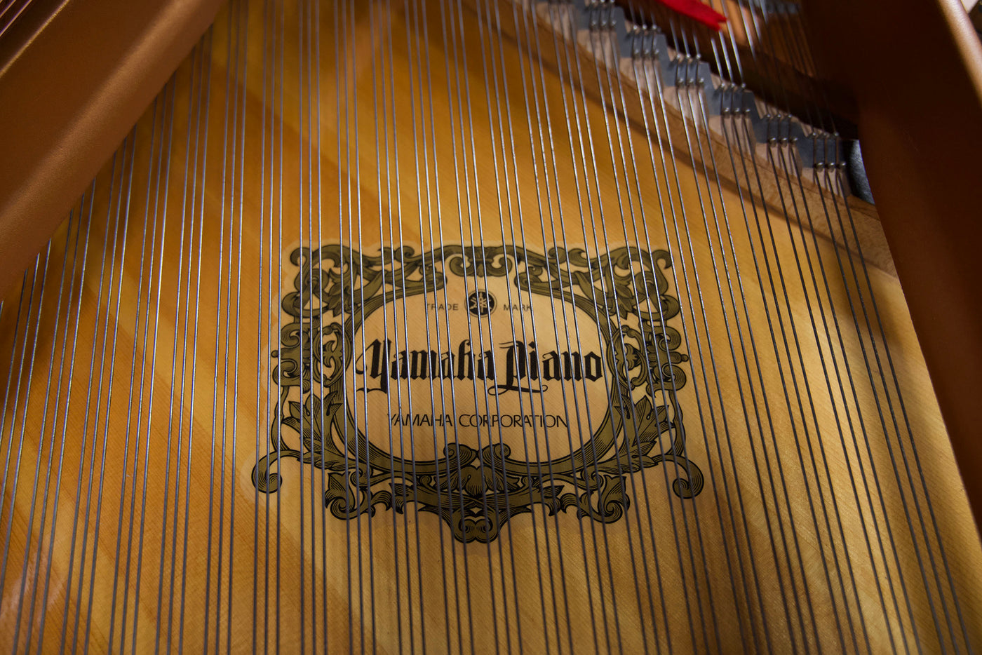 Yamaha C1 Enspire Player Parlor Grand Piano