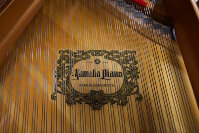 Yamaha C1 Enspire Player Parlor Grand Piano