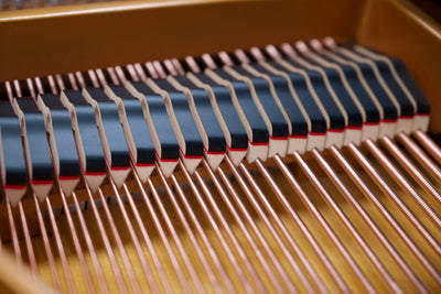 Yamaha C1 Enspire Player Parlor Grand Piano