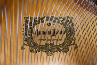 Yamaha C2 Parlor Grand Piano