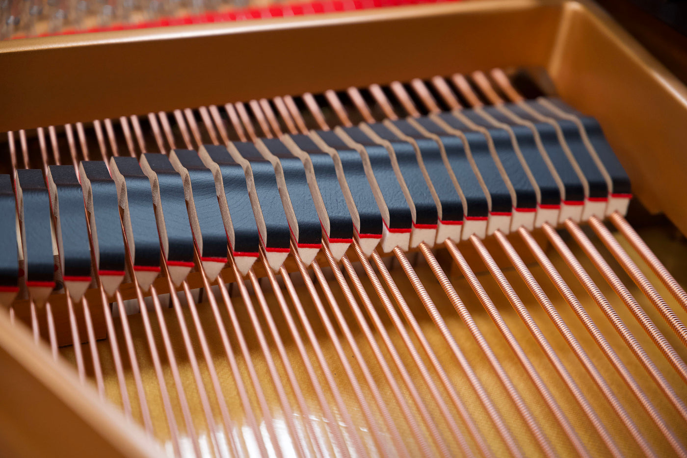 Yamaha C2 Parlor Grand Piano