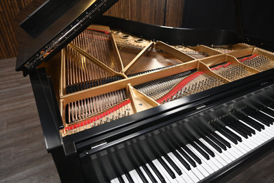 Steinway & Sons B Semi-Concert Grand Piano