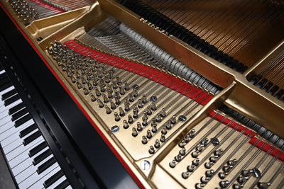 Steinway & Sons B Semi-Concert Grand Piano