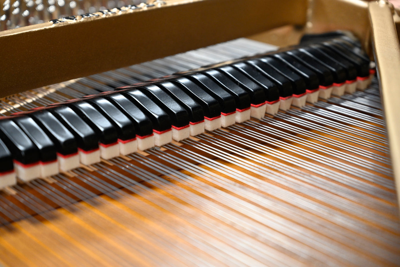 Steinway & Sons B Semi-Concert Grand Piano