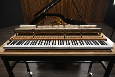 Steinway & Sons B Semi-Concert Grand Piano