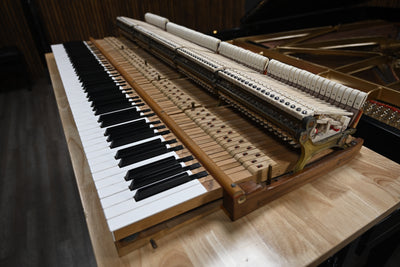 Steinway & Sons B Semi-Concert Grand Piano