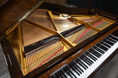 Petrof Mark IV Parlor Grand Piano